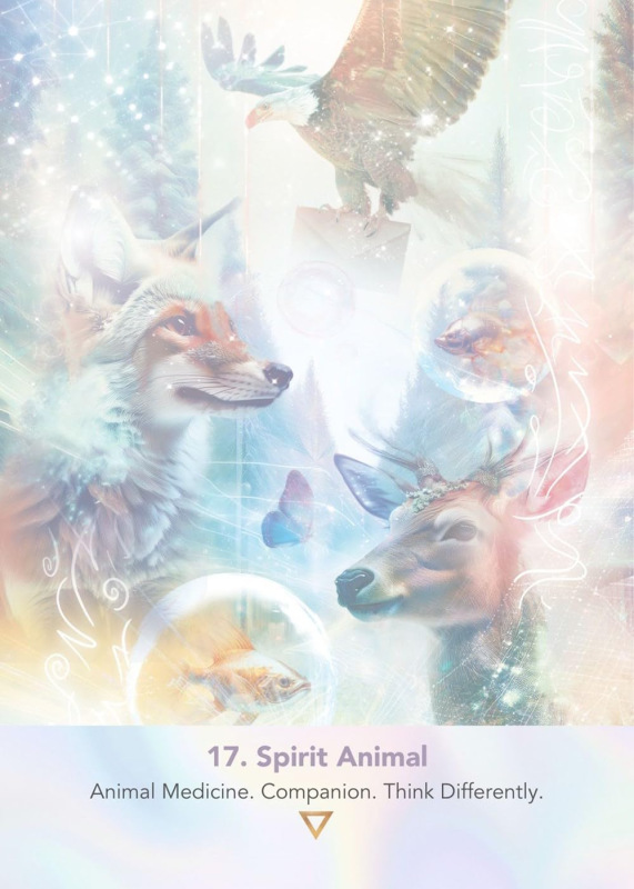 LightWeb Oracle Deck: Soul Technology, Joanna Hunter 3