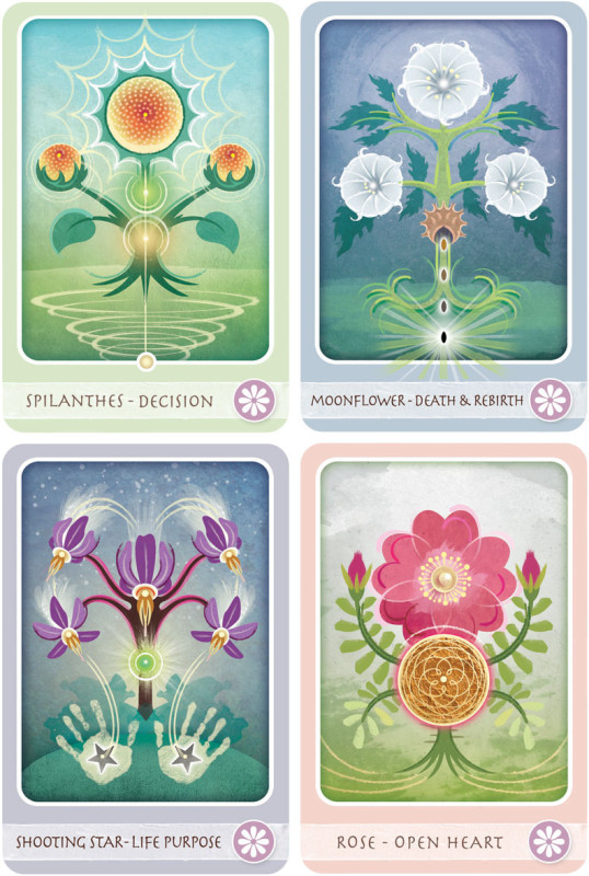 The Herbal Healing Deck, Sarah Baldwin 4