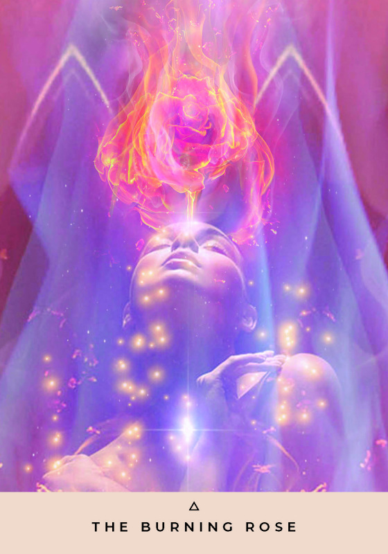 Inner Temple Oracle, Rebecca Campbell 2