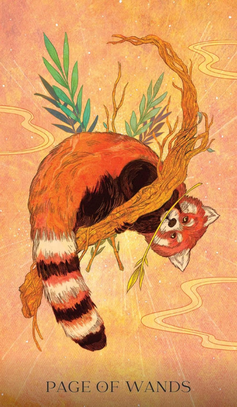 Oriens Animal Tarot Pocket Edition 4
