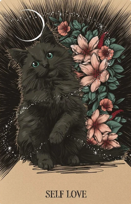 Fated: A Pocket Love Oracle 5