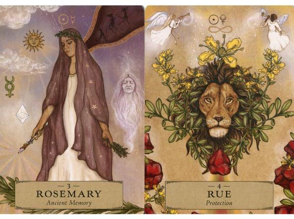 Herbal Astrology Oracle, Adriana Ayales