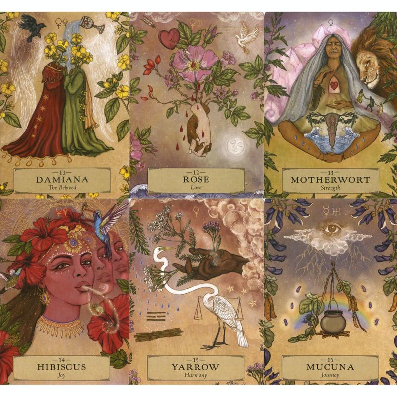 Herbal Astrology Oracle, Adriana Ayales
