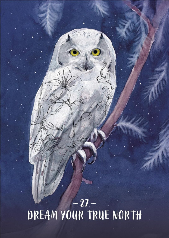 Sisterhood of the Seers Oracle, Athena Laz 2