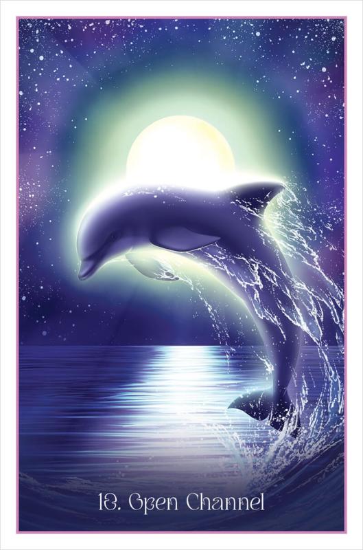 Whispers of the Dolphin Heart, Angela Hartfield 3