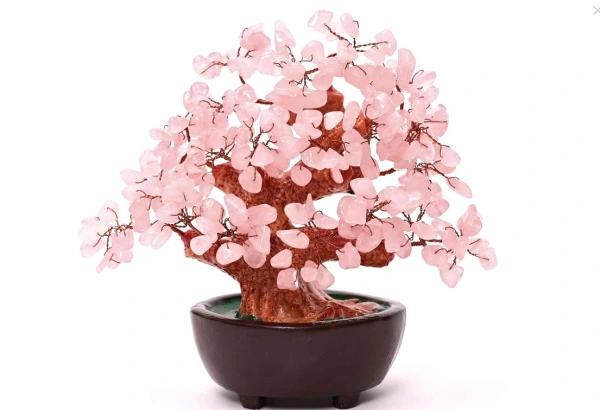 Stromček Šťastia Bonsai Ruženín 15 cm