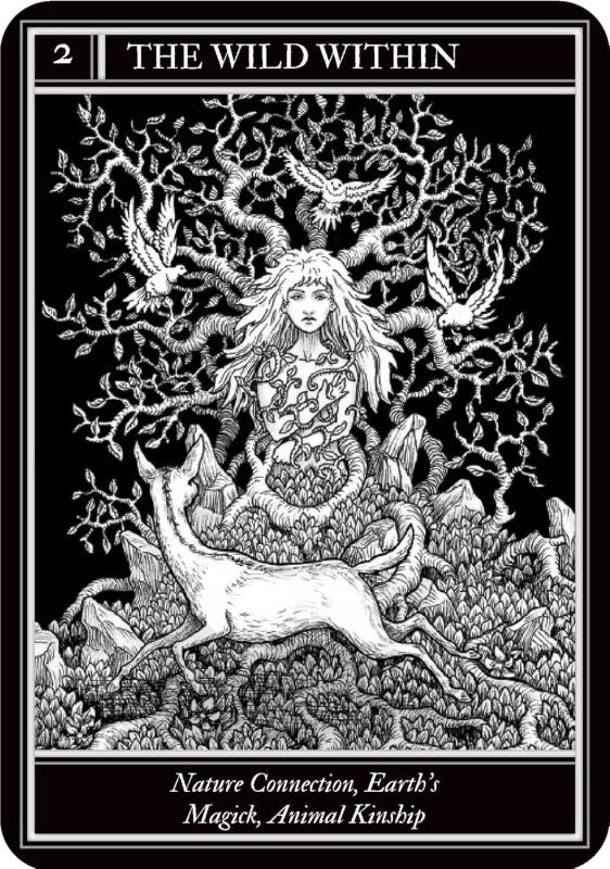 Coven Oracle Cards, Fiona Horne 2
