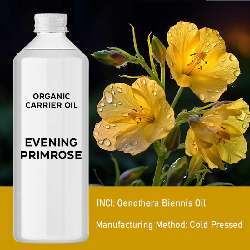 BIO Organický Pupalkový Olej 1 liter