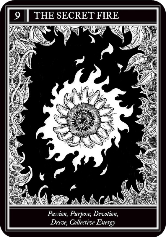 Coven Oracle Cards, Fiona Horne 8