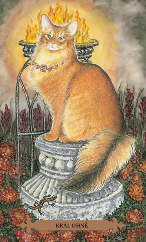 Kouzelný kočičí tarot, Lunaea Weatherstone