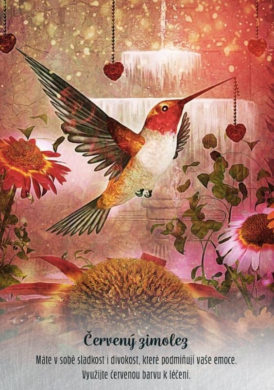 Karty kolibříků, Ellen Valladares