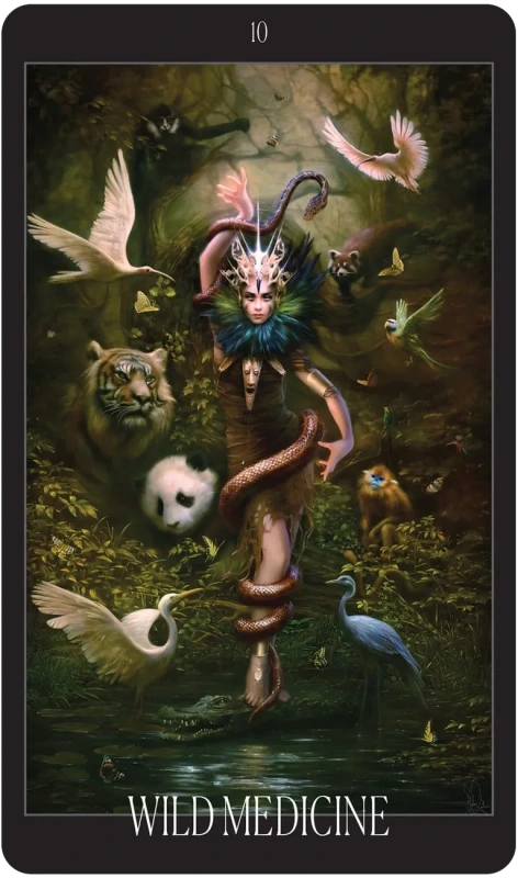Oracle of the Vampire Fae, Tess Whitehurst 2